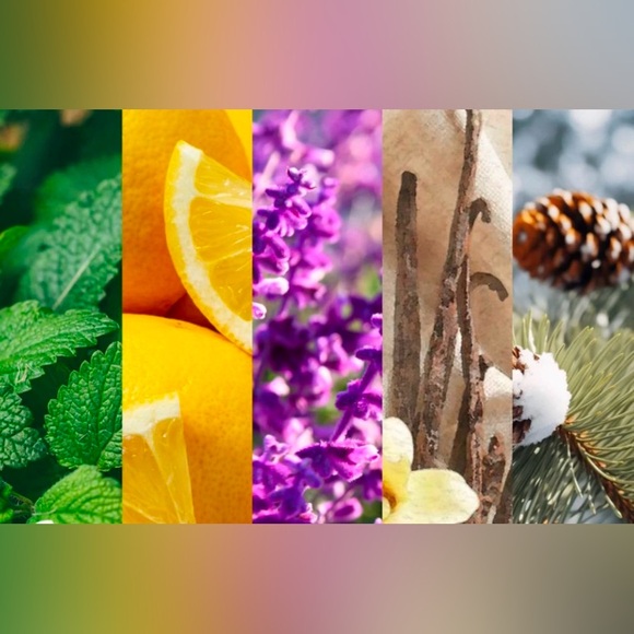 Aroma Aria Other - REED DIFFUSER- Lavender Oil. Includes 1.8 oz. glass vessel with 5 natural reeds.